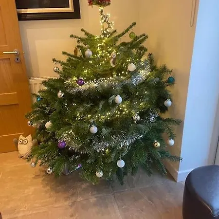 Hootsman Σπίτι διακοπών