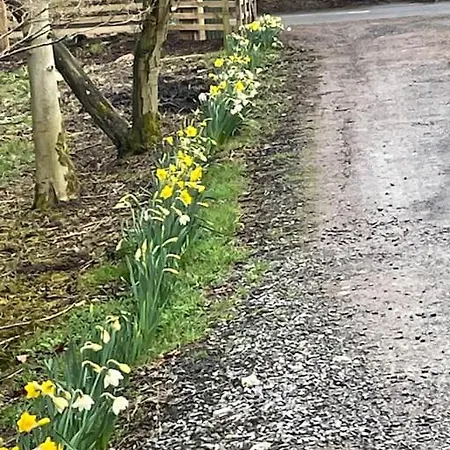 Hootsman Σπίτι διακοπών *