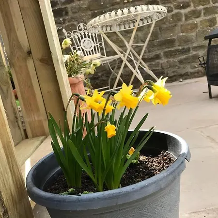 Hootsman بيت للعطل *