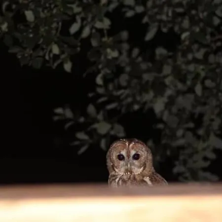 Hootsman بيت للعطل Rosedale Abbey