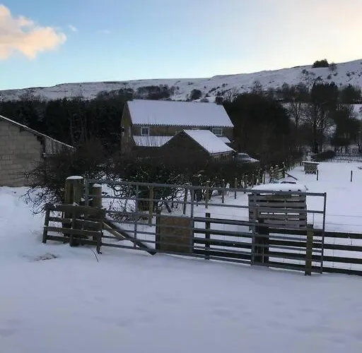 Hootsman Holiday home *