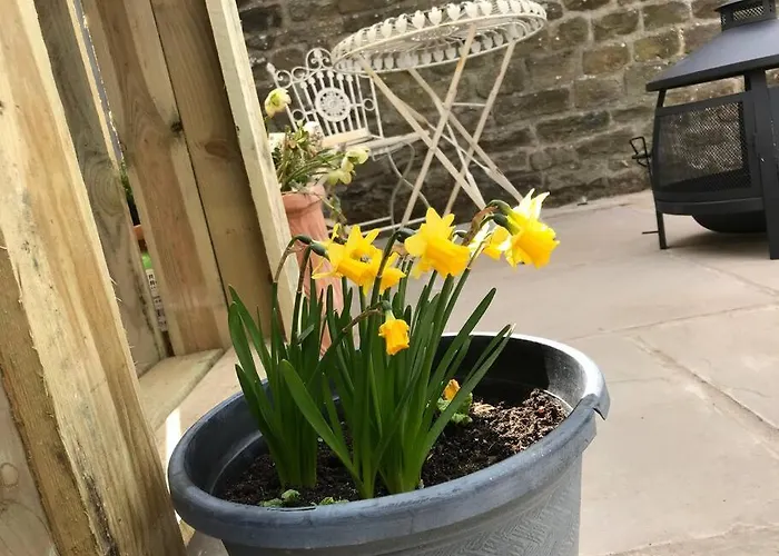 Hootsman Holiday home *