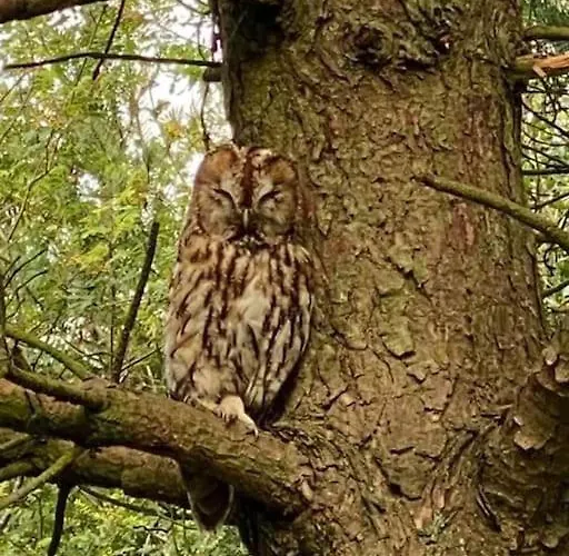 Holiday home Hootsman