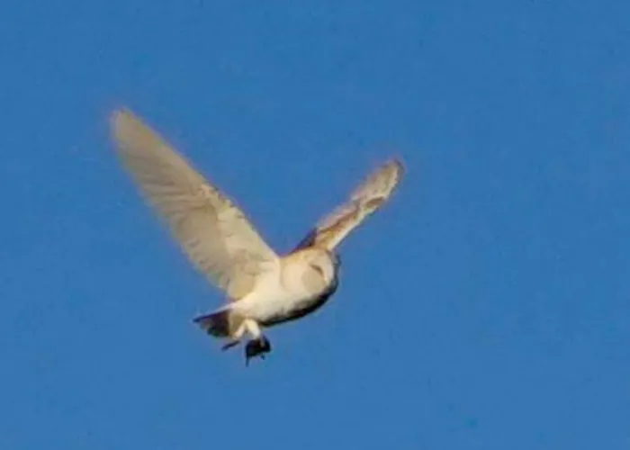 Сasa de vacaciones Hootsman *