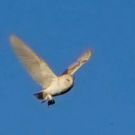 Tatil Evi Hootsman *