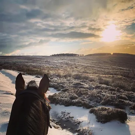 Hootsman Rosedale Abbey