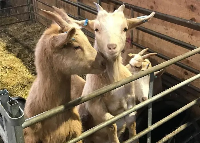 Дом отдыха Hootsman *