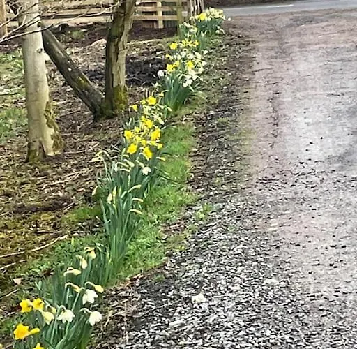 Hootsman Дом отдыха *