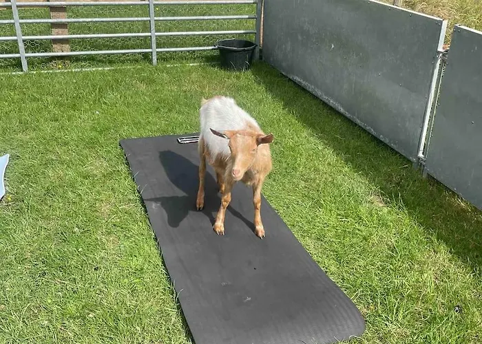 Hootsman Rosedale Abbey