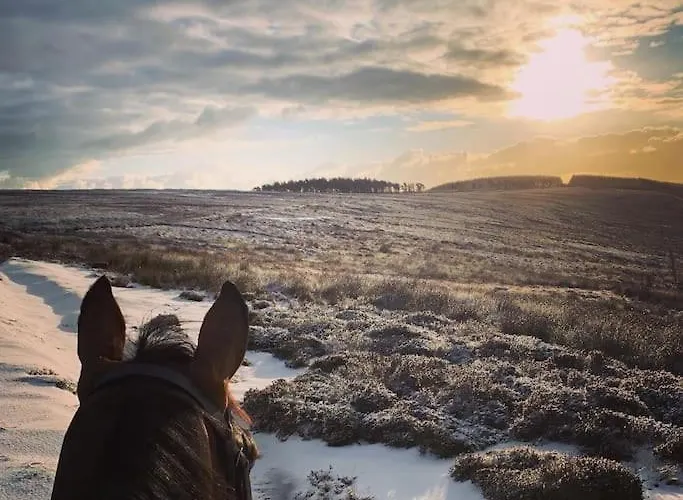 Hootsman Rosedale Abbey